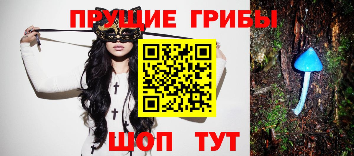 Галлюциногенные грибы MAGIC MUSHROOMS Новокуйбышевск