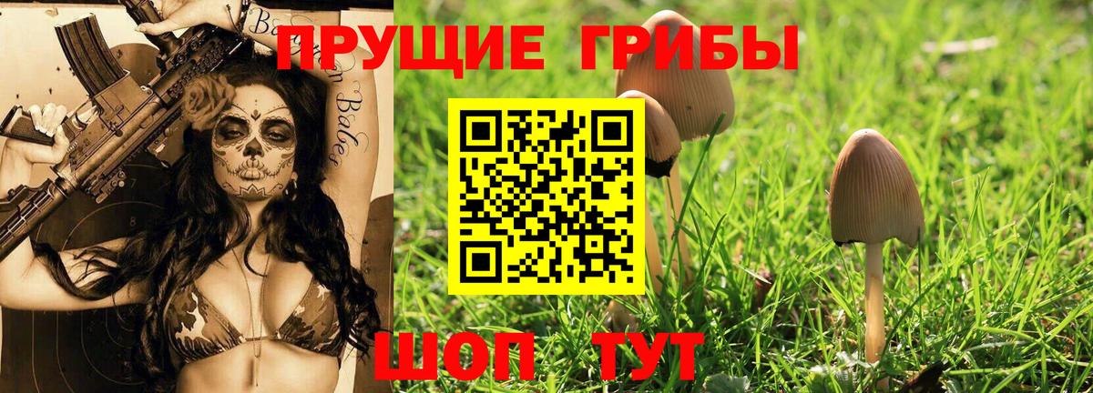 Псилоцибиновые грибы Magic Shrooms  Вход с VPN  Новокуйбышевск 